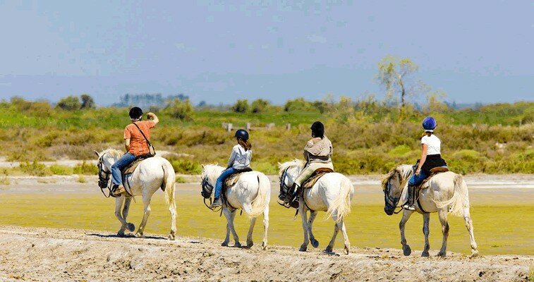 Lots of horse riding opportunities througout the Camargue
