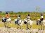 Lots of horse riding opportunities througout the Camargue