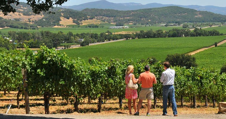 Languedoc Roussillon Wine Tours Languedoc Roussillon Wine Tours