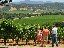 Enjoy spectacular scenery whilst learning about how Languedoc wines are produced