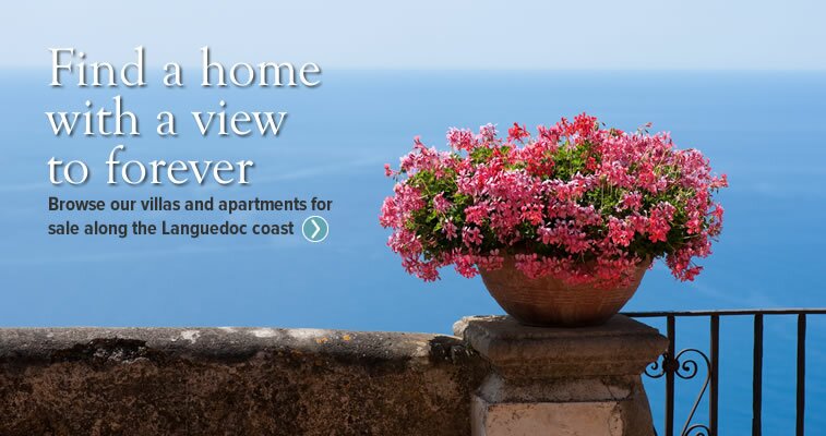 Click the slide above to search for property for sale in Languedoc