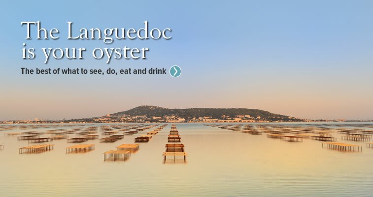 Click the slide above to explore the region's sightseeing and activities