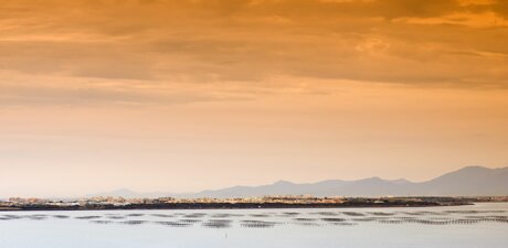The 'etangs' of Languedoc