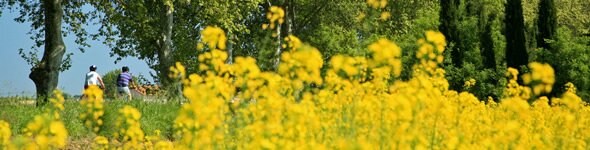 Cycling biking in Languedoc