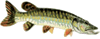 ""