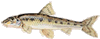 ""