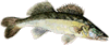 ""