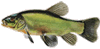 ""