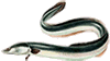 ""