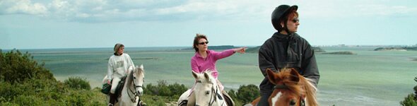 Horse riding in Languedoc