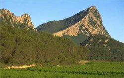 Pic St Loup - mountain biking