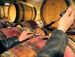 Languedoc wines
