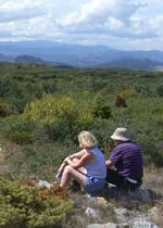 Walking in the Pyrenees