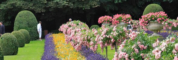 gardening courses and garden