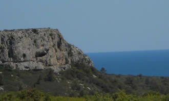 mediterranean
