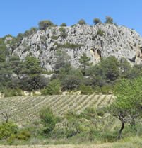 wine tour