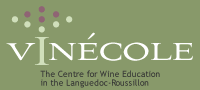 Vinecole wine school