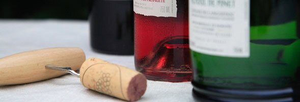 Wine tasting tours in Languedoc