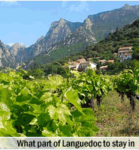 Information for visitors to Languedoc