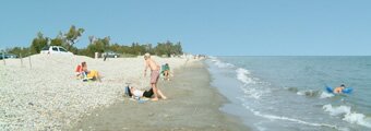 Gay caribbean tumblr Tits girl small boy