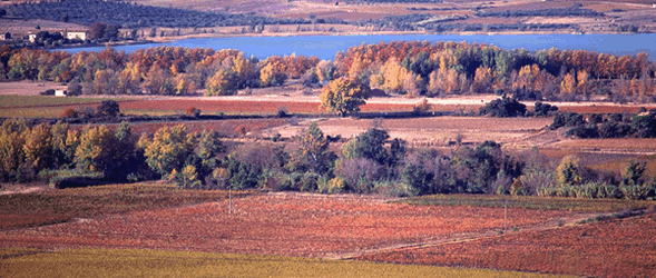 Lake Jouarres near Homps