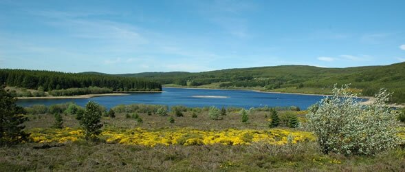 Lake Vesoles