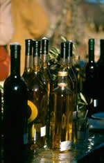 The olive oil of Languedoc