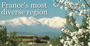 Flights to Languedoc