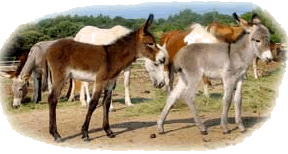 ""