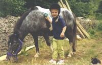 Pony