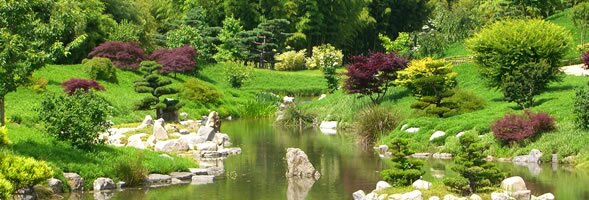 The Dragon Valley at the Bambouseraie