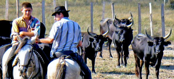 Camargue Gardians