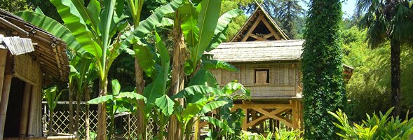 The Laotian village