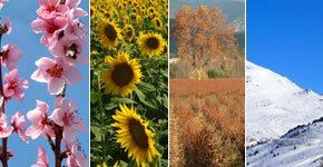 Languedoc weather