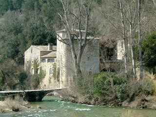 Languedoc in Winter