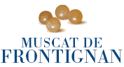 Musct de Frontignan