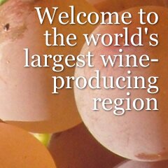 Languedoc wine