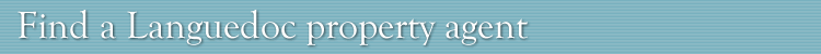Find a property agent