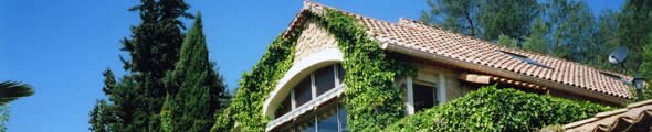 French property advice