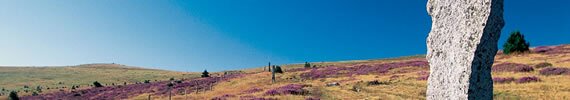 Lozere