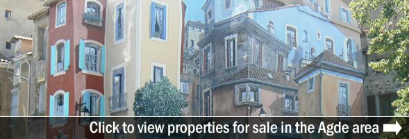 Property in Agde