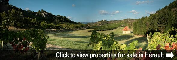 Property in the Herault