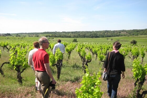 Walking in the vines