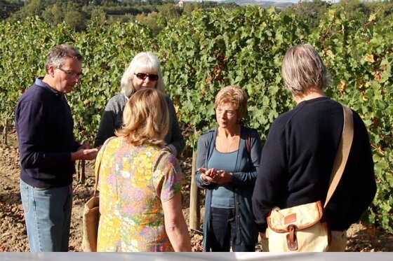 Tasting grapes