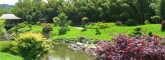 Bamboo park, Languedoc