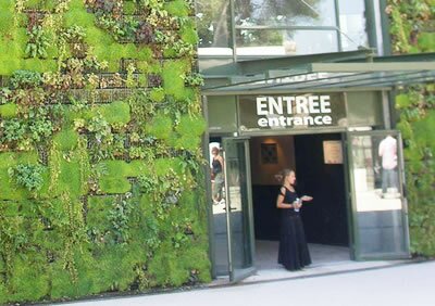 Entrance to the Amazonian Greenhouse